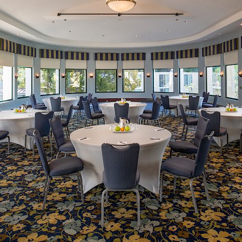 A conference room with round tables and chairs arranged neatly, decorated carpet and large windows providing natural light.