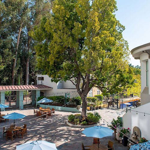 An outdoor courtyard features tables with umbrellas, surrounding buildings, and a large tree in the center. The area is well-lit and peaceful.